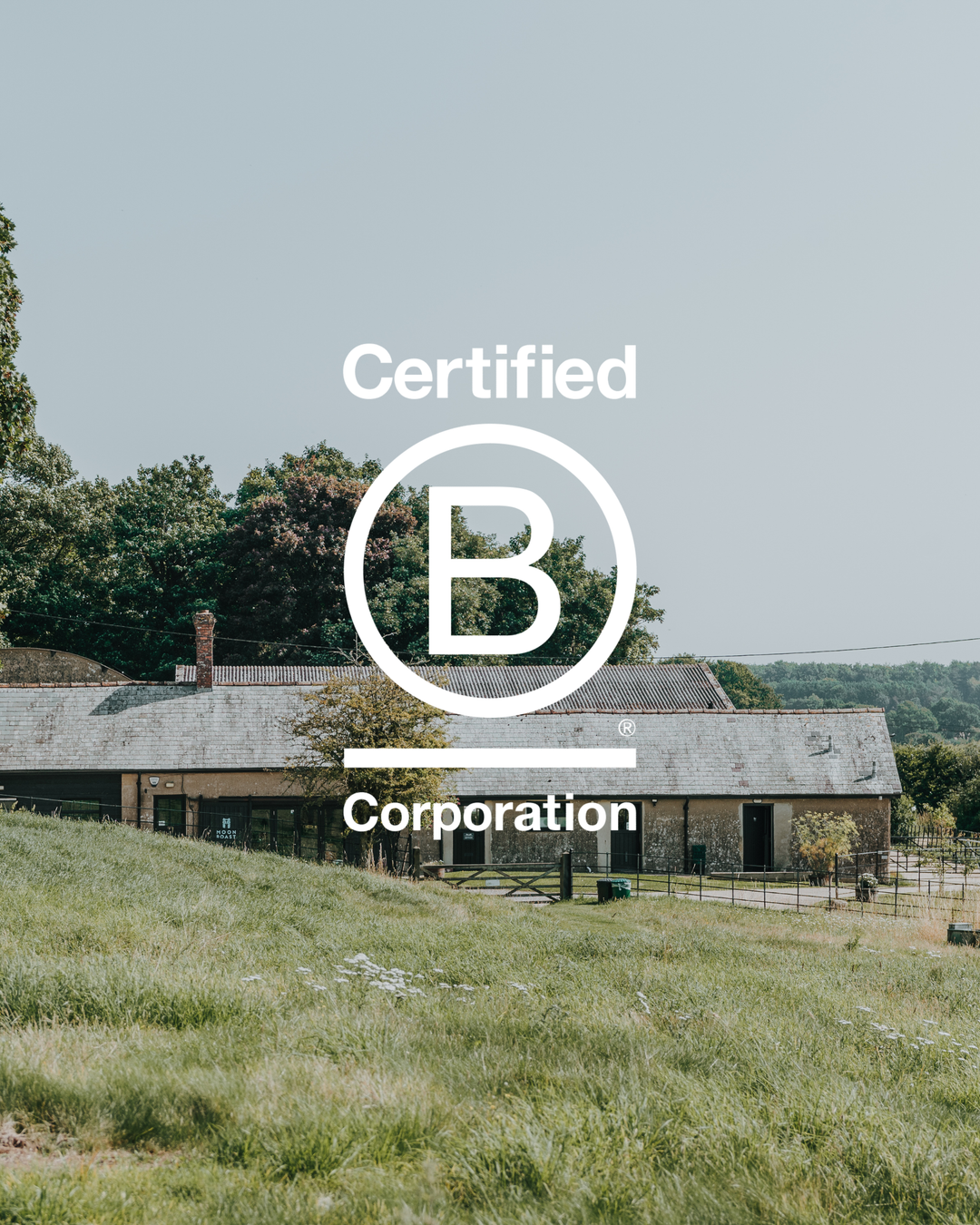 Moon Roast Is Now B Corp Certified: What That Means for Your Office Coffee