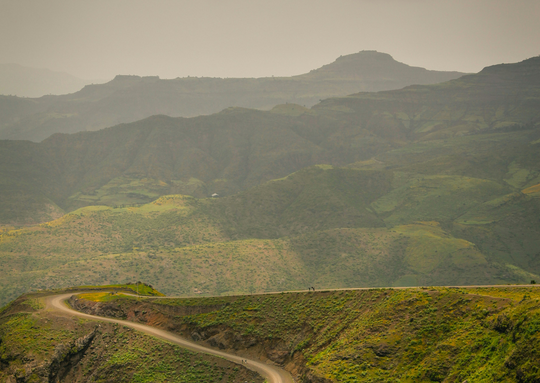 Exploring Ethiopian Coffee: The Birthplace of Arabica
