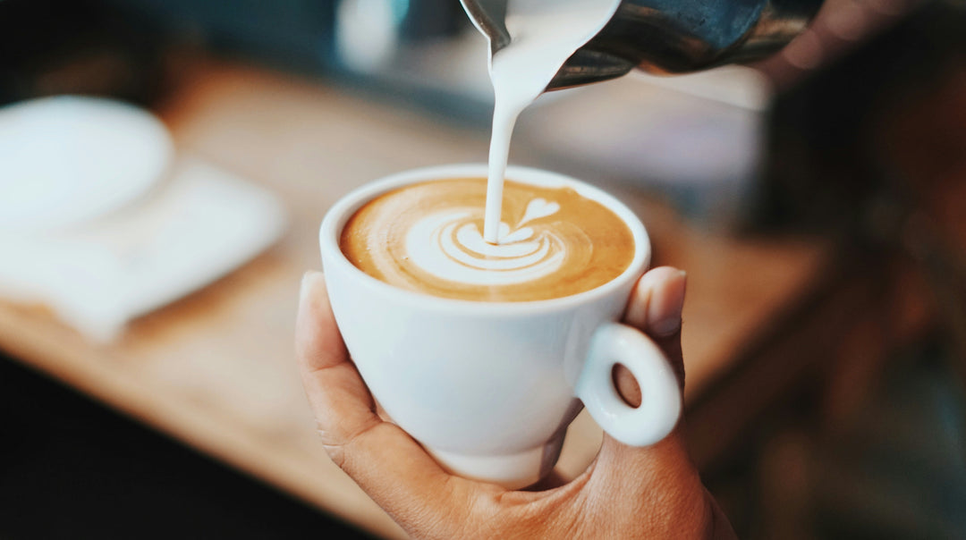 What Is Specialty Coffee?