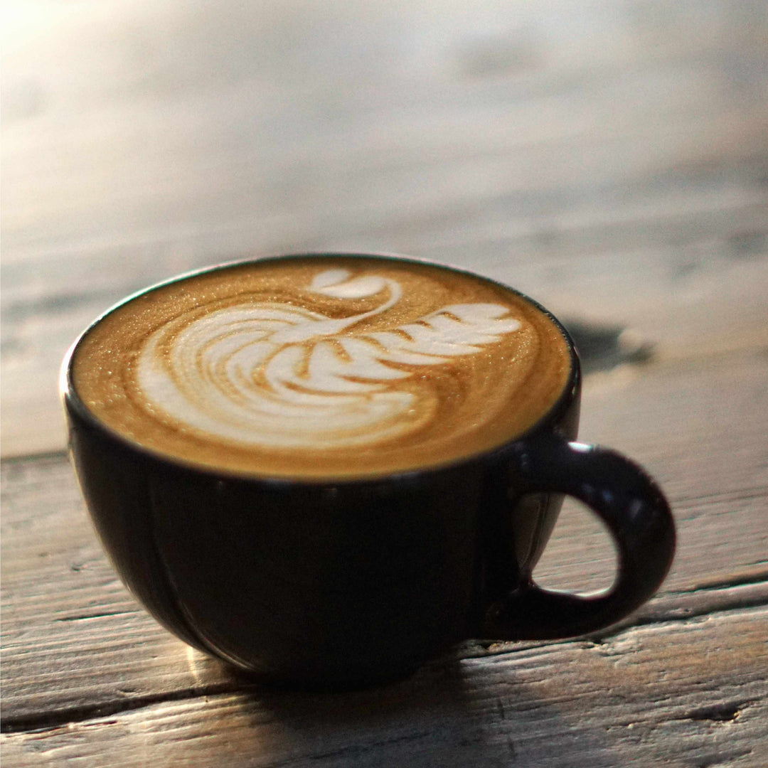 Bean to Barista Home Espresso Course and Roasting Experience