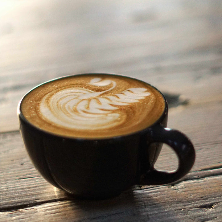 Bean to Barista Home Espresso Course and Roasting Experience