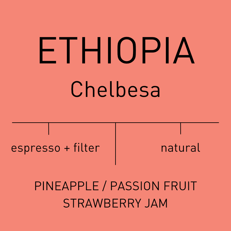 Ethiopia - Chelbesa
