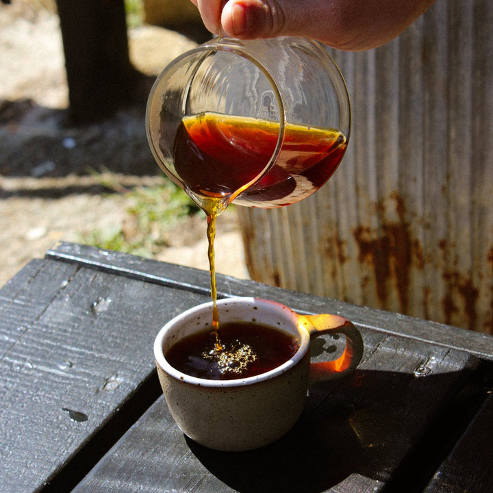 Prototype - Uganda Bukonzo Dream (Roasted on 23rd June)