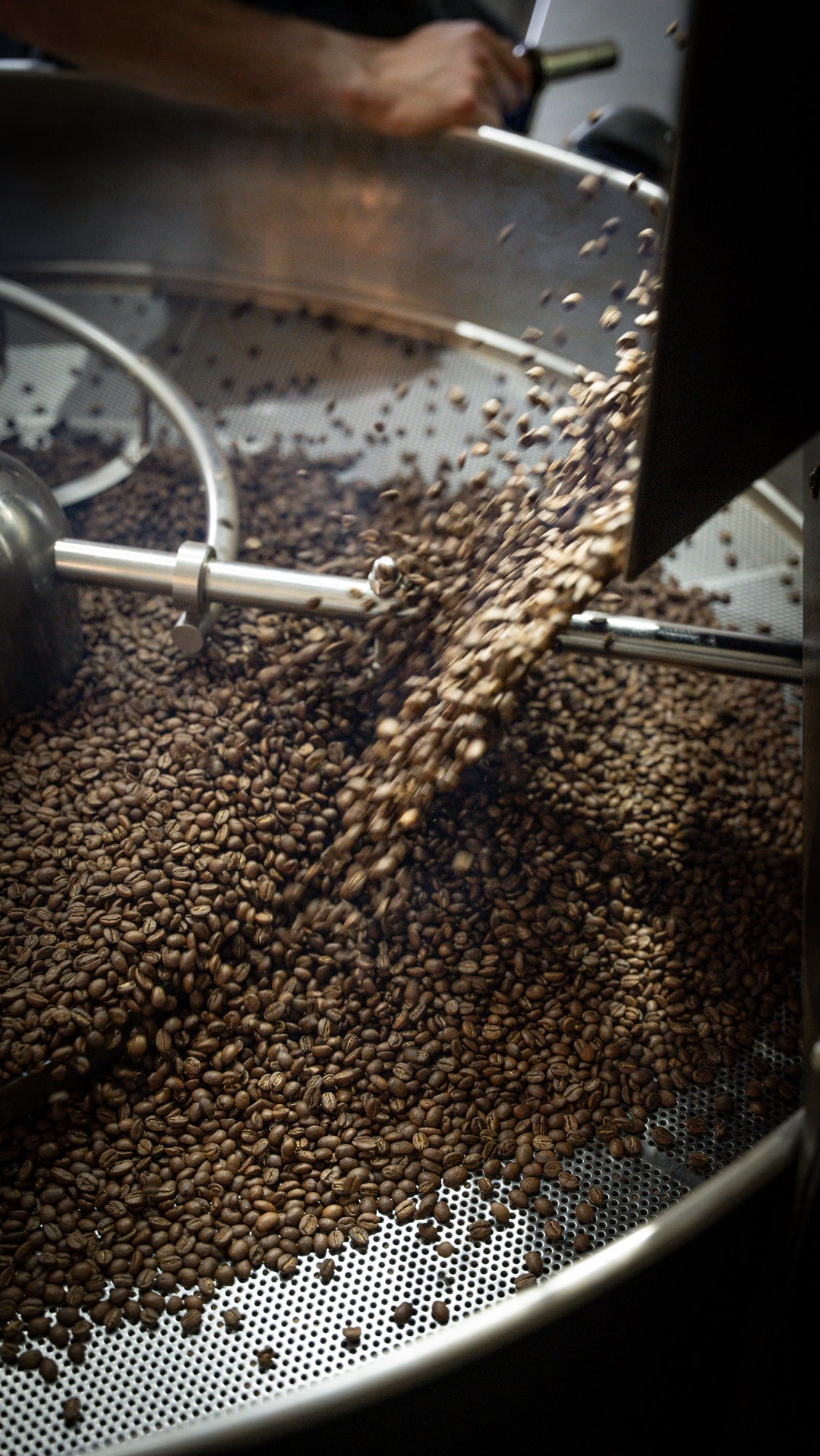 Coffee Roastery Tour