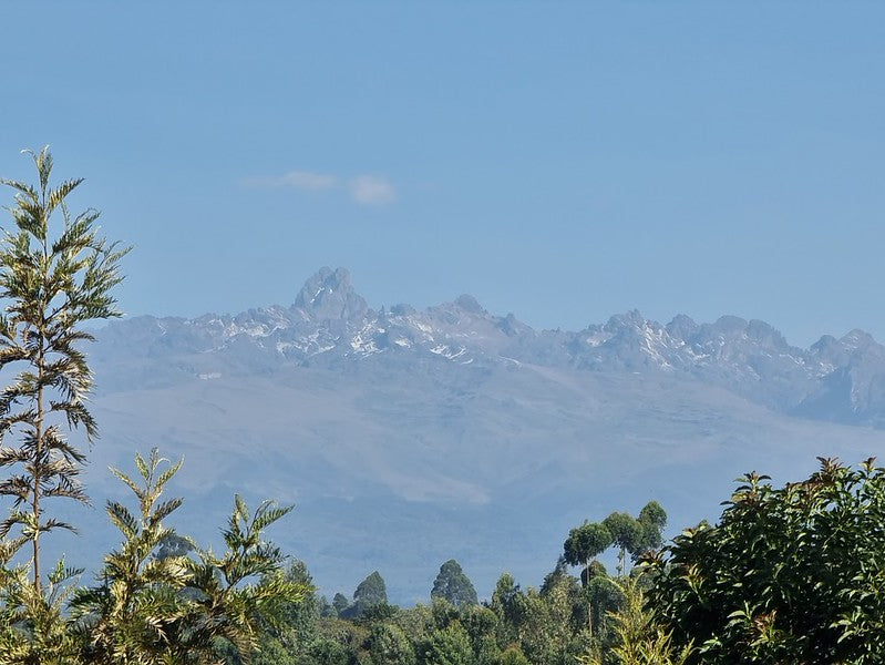 Kenya - Kii AA