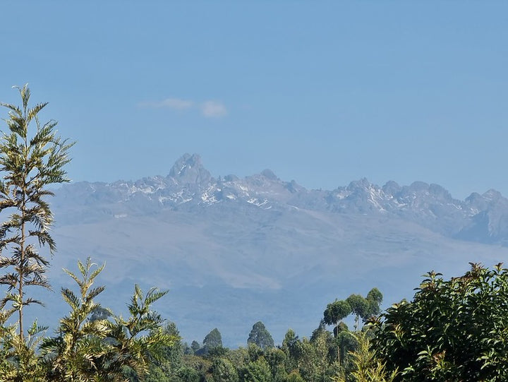 Kenya - Kii AA