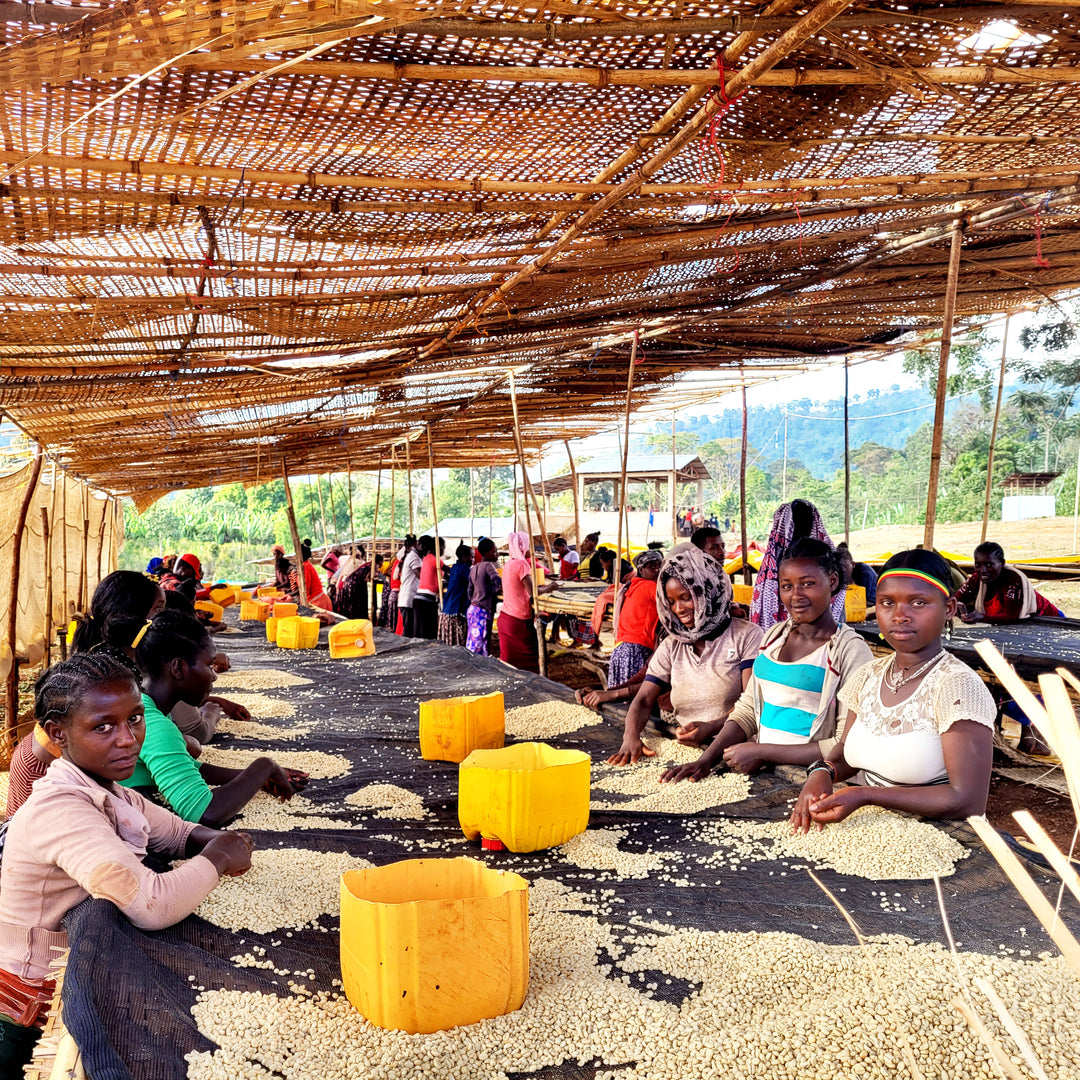 Ethiopia - Chelbesa
