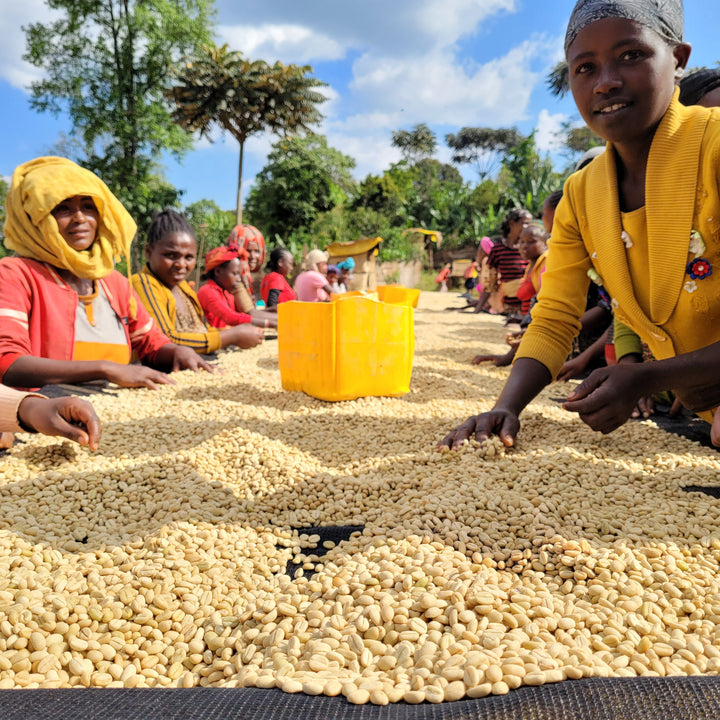 Ethiopia - Chelbesa