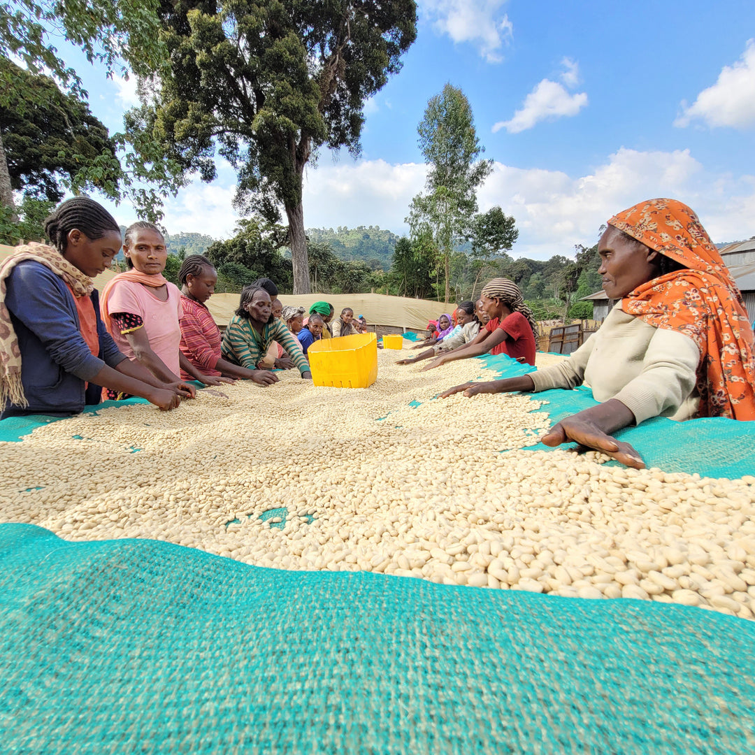 Ethiopia - Chelbesa