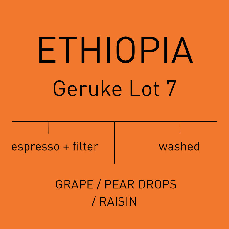 Night Club: CORE Coffee Subscription