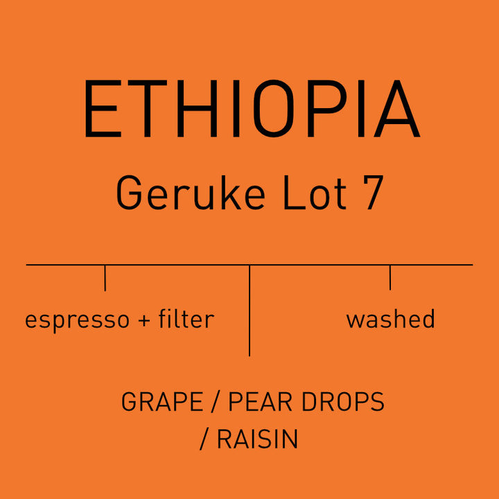 Night Club: CORE Coffee Subscription